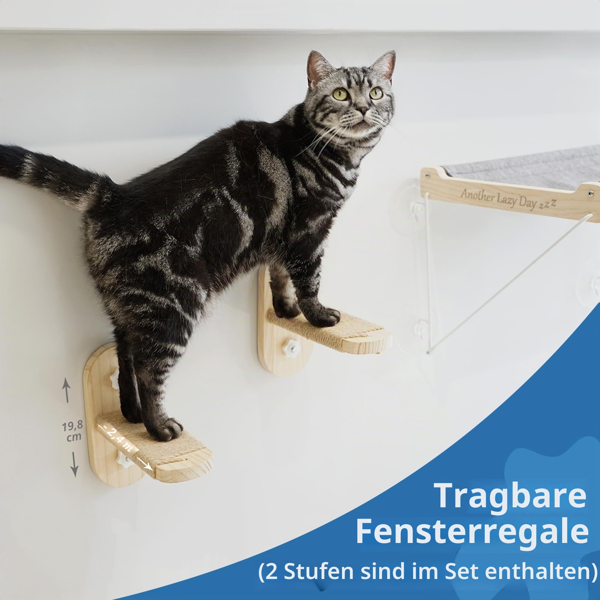 PETKARAY Katzenfensterstange, Faltbare Katzenhängematte für Fenster, stabile Fensterregale für Indoor-Katzen, Set beinhaltet 2 Stück Fenstertreppe