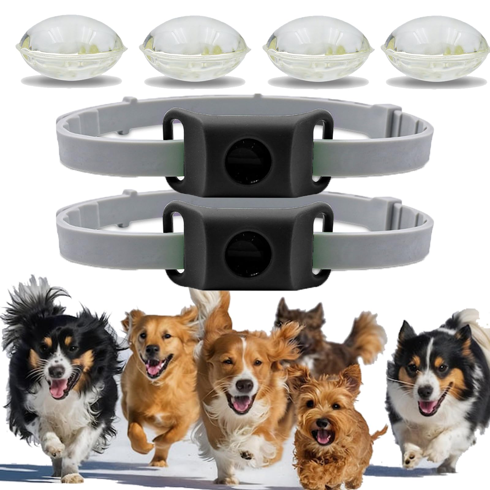 Collier anti-puces pour grand chien et petit chien - Lot de 2 colliers noirs réglables
