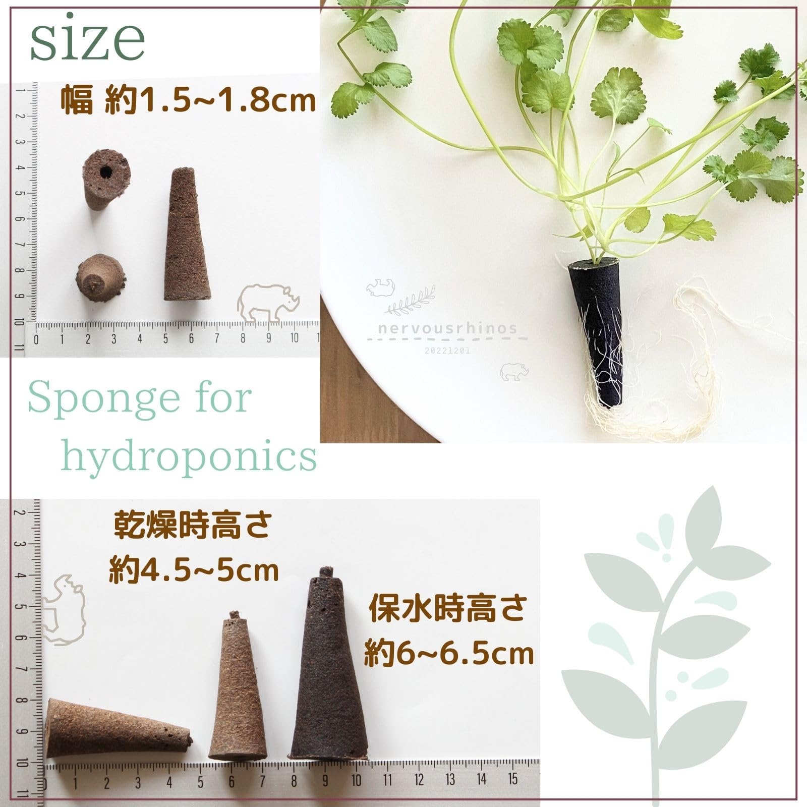 Amazon.co.jp: nervousrhinos 水耕栽培 スポンジ 10,20,30,50パック 水