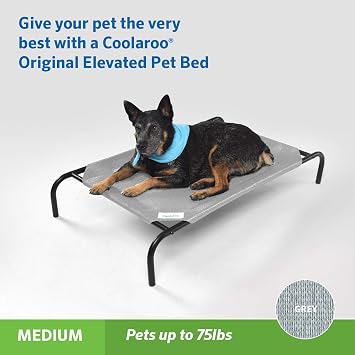 Coolaroo Elevated Pet Bed Medium Grey