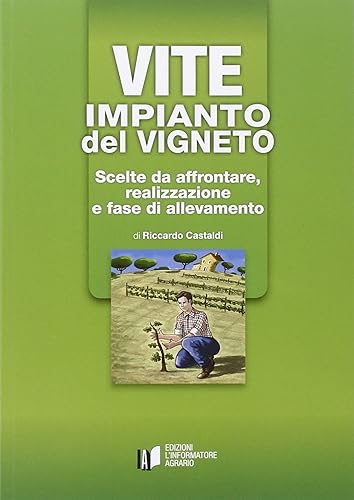Vite: impianto del vigneto. Scelte da affrontare, realizzazione e fase di allevamento