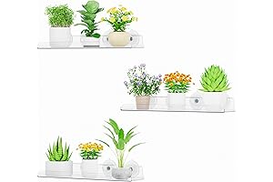Lifewit Window Sill Shelf: Elevate Your Indoor Oasis