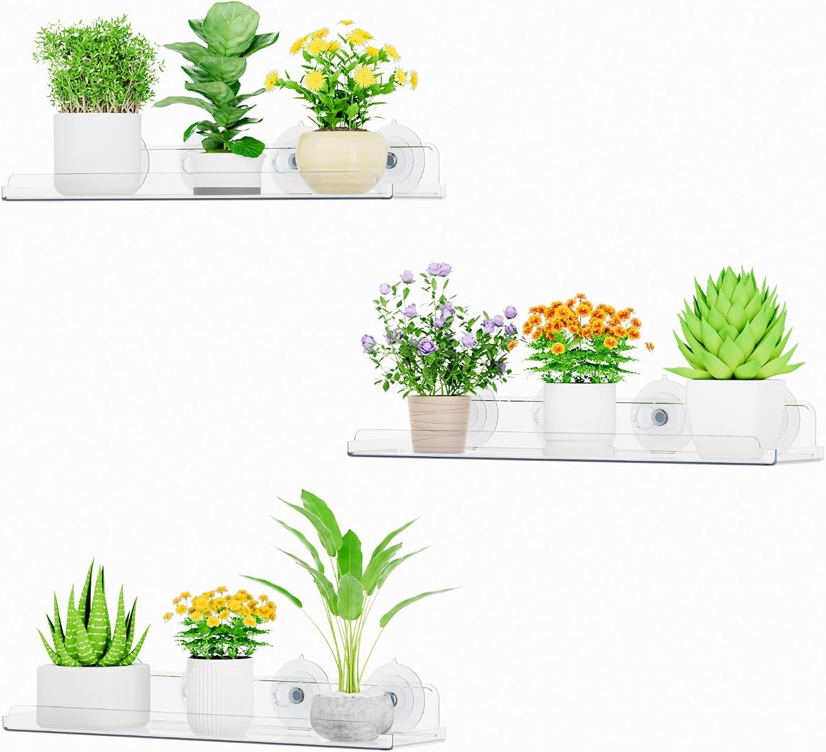 Lifewit Window Plant Shelves 14.6", 3 Pack Acrylic Suction Cup Holder | No-Drill Window Sill Extender for Indoor & Outdoor Micro Greens, Clear Floating Shelf for Bathroom Mirror, or Kitchen Wall