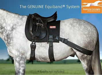 Equicore Concepts Complete Equiband System, Large size, oversize horse