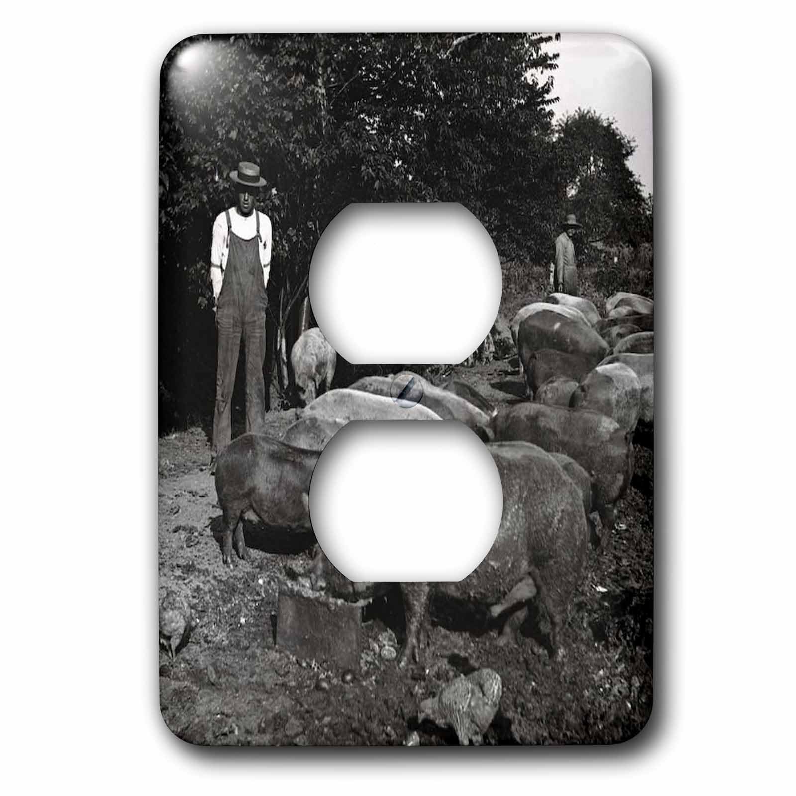 3dRose lsp_16062_6 Vitage Pig Farmer pour cacher une prise usée avec un style rétro