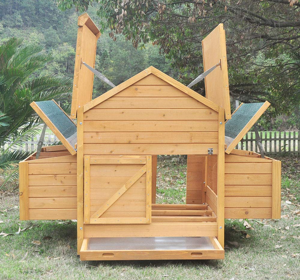 Winterfester XXL Hühnerstall Aus Massivem Fichtenholz – 157x100x113 Cm – Für 4-6 Hühner, Mit Nistkasten & Kotschublade