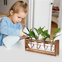 Vista 5 de Kit de terrario de plantas de corazón, regalo para mujeres, amantes de las plantas, jarrones de cristal