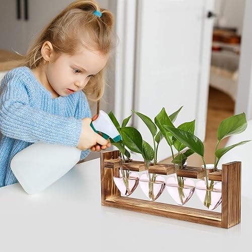 Miniatura 5 de Kit de terrario de plantas de corazón, regalo para mujeres, amantes de las plantas, jarrones de cristal