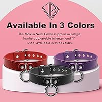 Vista 7 de VP Leather Meraux Collar – Top Grain Leather & Soft Lambskin - Adjustable - Nickel Plated Buckles, Eyelets, Studs & O-ring