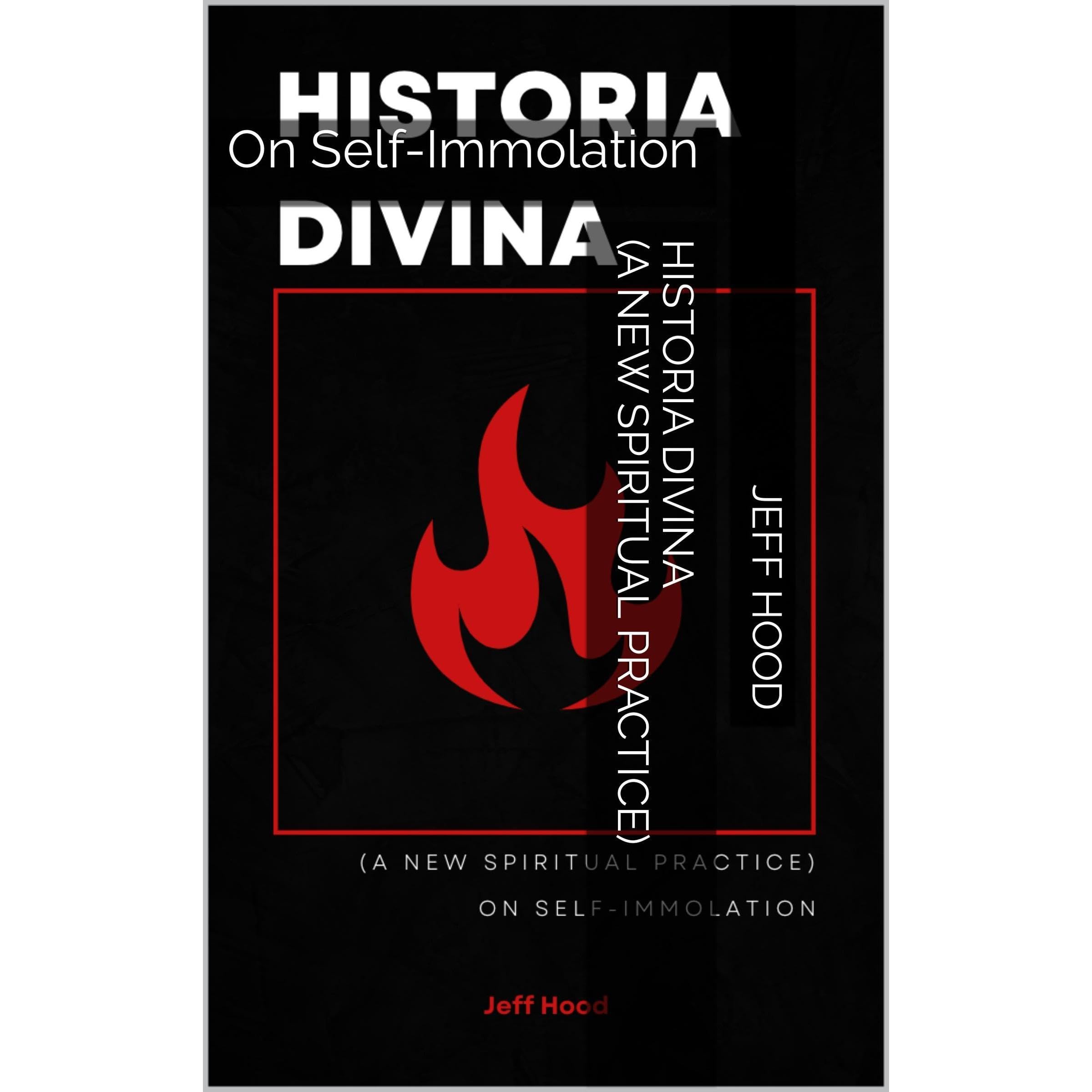 HISTORIA DIVINA (a new spiritual practice)