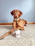 Review Image by Bosco our Vizsla Bosco our Vizsla