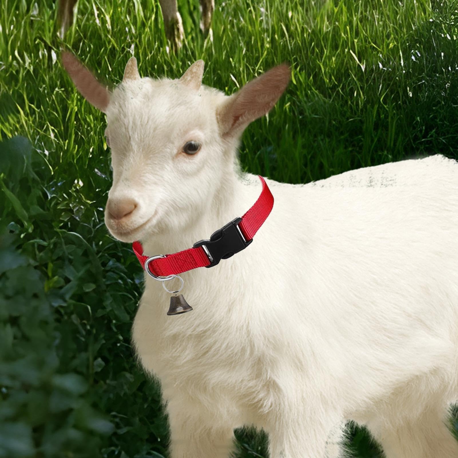 Collier de Chèvre pour Concours | Collier Réglable en Nylon pour Mouton,Cloche d'Alpage Sonore Anti-Perdition pour Les Vaches, Les Chèvres de Compagnie, Les Troupeaux, l'Entraînement