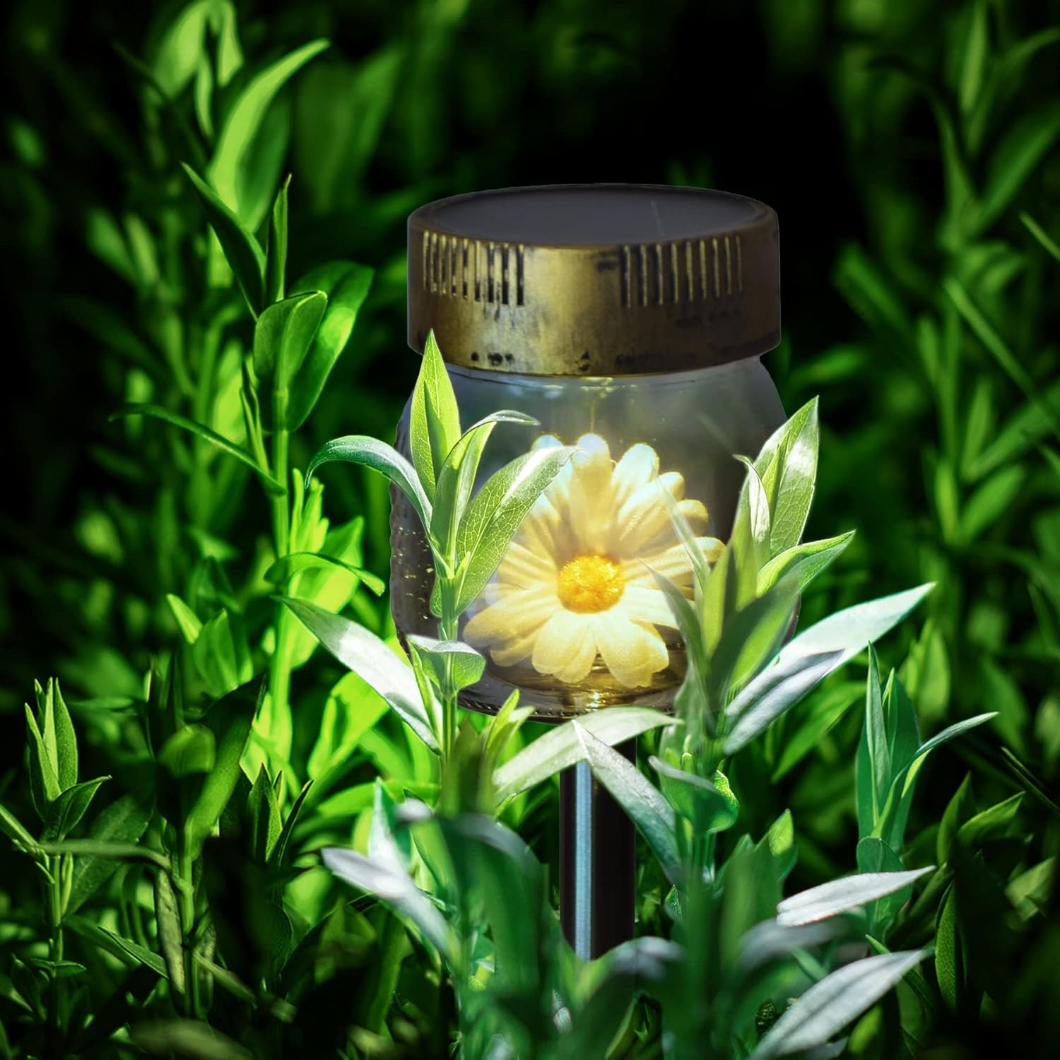 Crosslight 3-Pack Glass Daisy Flower in a Jar Stake Lights - Solar LED Waterproof Outdoor Garden Decor - Decorative Electronic Light Fixture Jars for Yard, Lawn, Patio, Deck, Pathway, Pond, Backyard