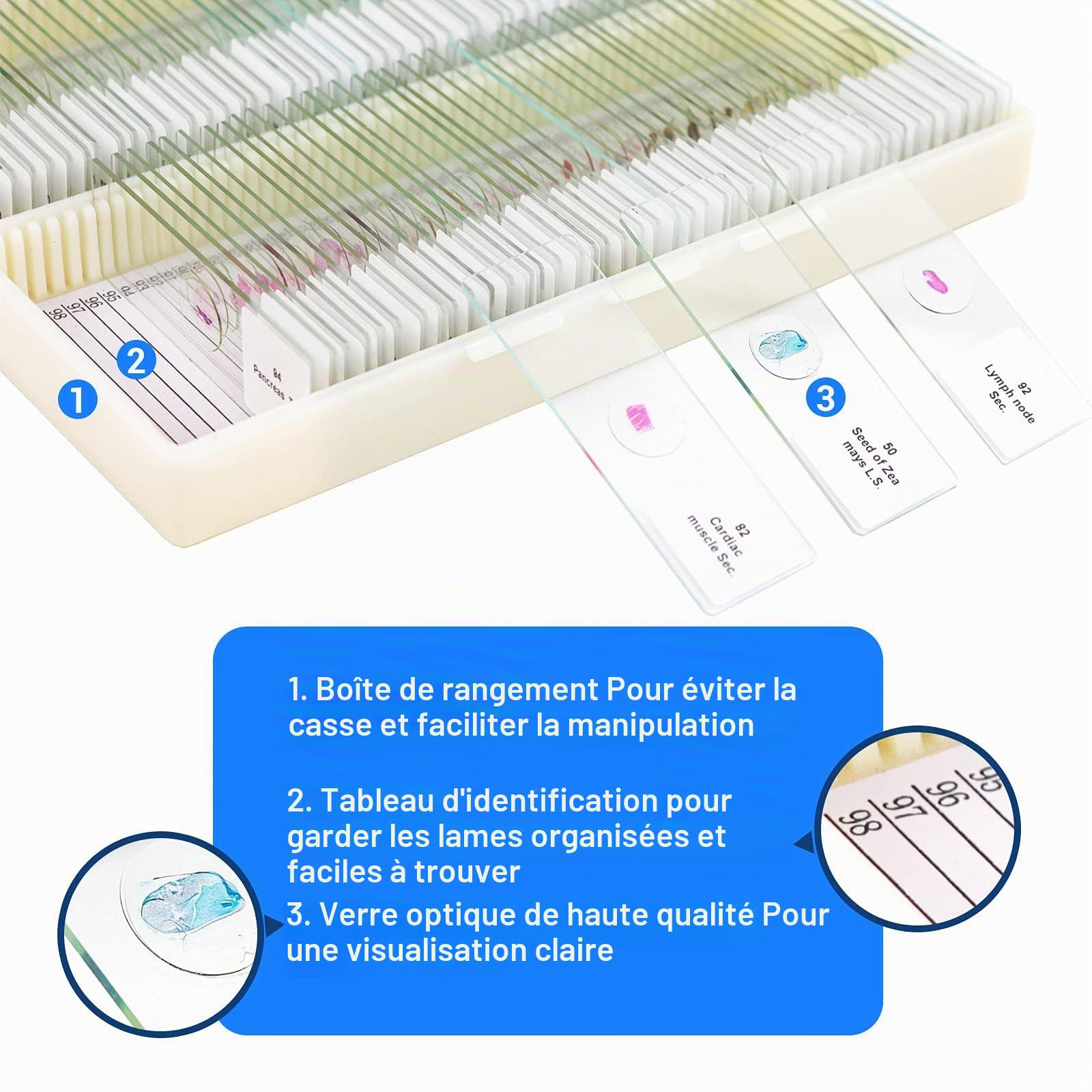 USCAMEL 100 Lames de Microscope préparées avec spécimens – Bactérie, Champignon, Tissus Humains, mitose, Plantes, Insectes, Animaux