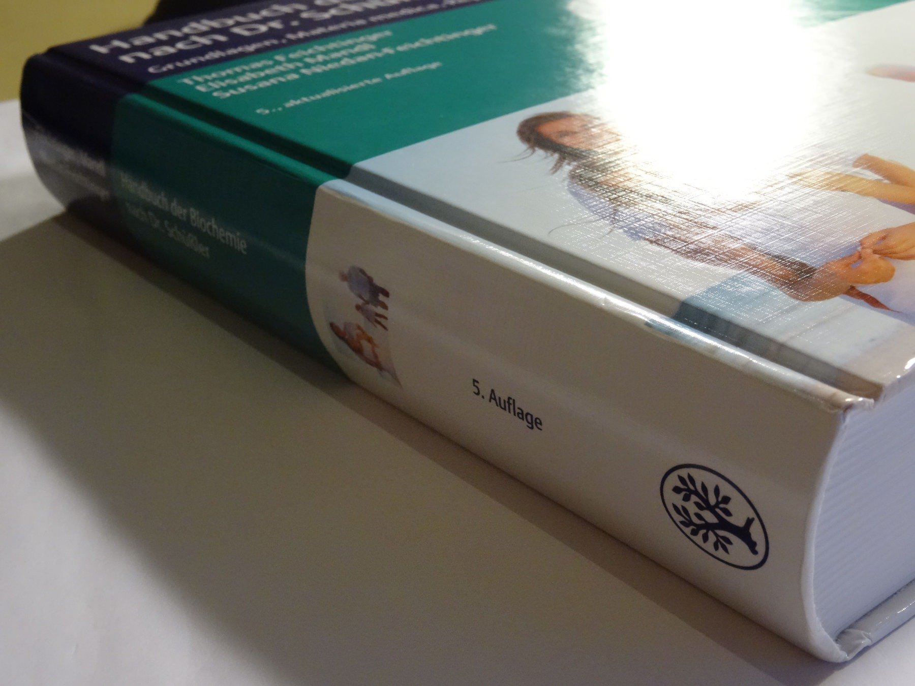 Handbuch der Biochemie nach Dr. Schüßler: Grundlagen, Materia medica, Repertorium