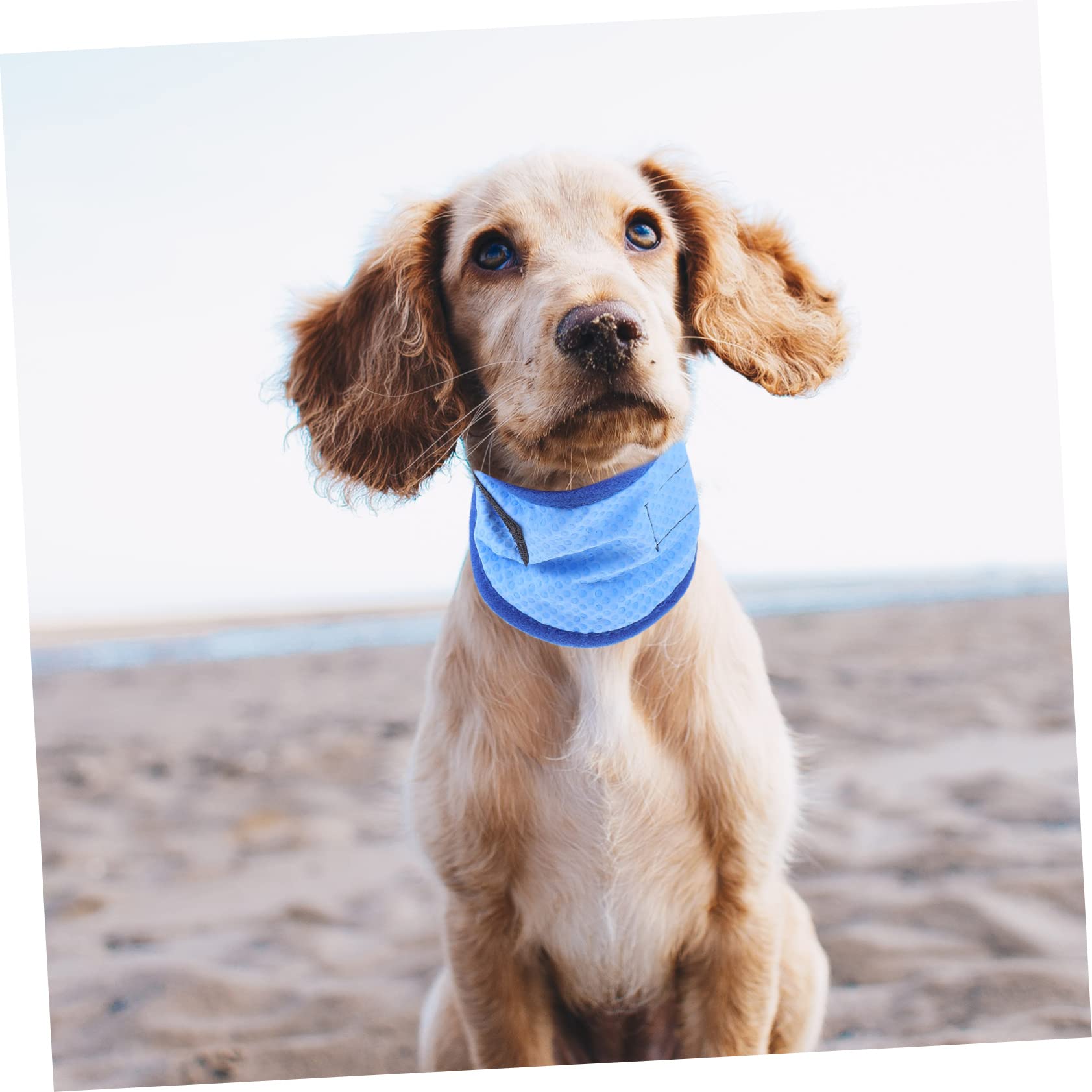Toddmomy Lot De 5 Foulards Rafraîchissants pour Animaux De Compagnie Bandanas pour Chien Et Chiot en Tissu Respirant
