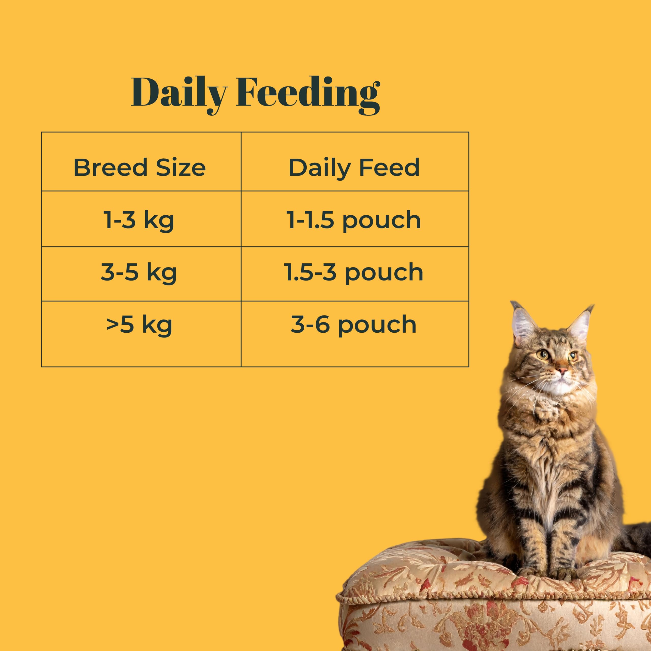 Indie Cat Kitten (2-12 Months) Chicken Royal Growth Meal (80g), Wet Food for Kittens, Grain & Gluten Free, Natural Healthy Minced Cat Food Pouch - Pack of 5 4