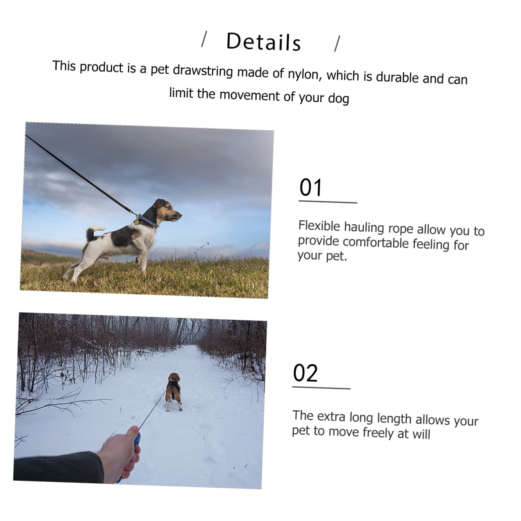 ibasenice Laisse De Promenade pour Chien Corde De Traction Laisse Entraînement pour Marche Corde De Sécurité pour Chien