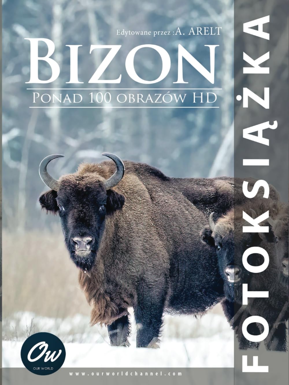 Fotoksiążka Bizon livre photo de mariage pour graver vos plus précieux souvenirs