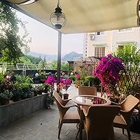 Vista 6 de Toldo rectangular beige para toldo de tela para patio al aire libre, refugio de tela, protección UV, 3.3 x 32.8/9.8 x 9.8/26 x 42.6 pies, malla