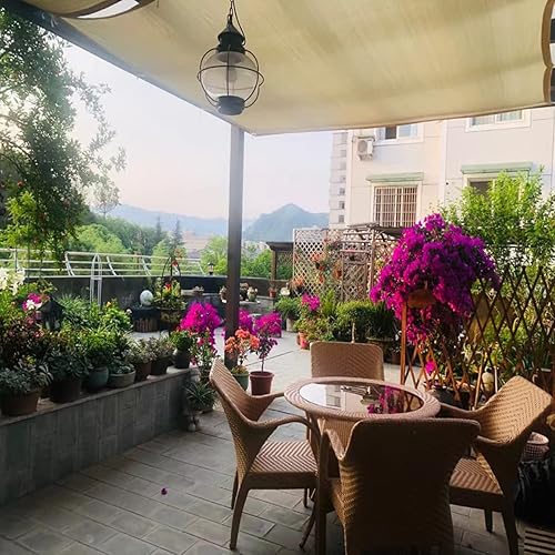 Miniatura 6 de Toldo rectangular beige para toldo de tela para patio al aire libre, refugio de tela, protección UV, 3.3 x 32.89.8 x 9.826 x 42.6 pies, malla