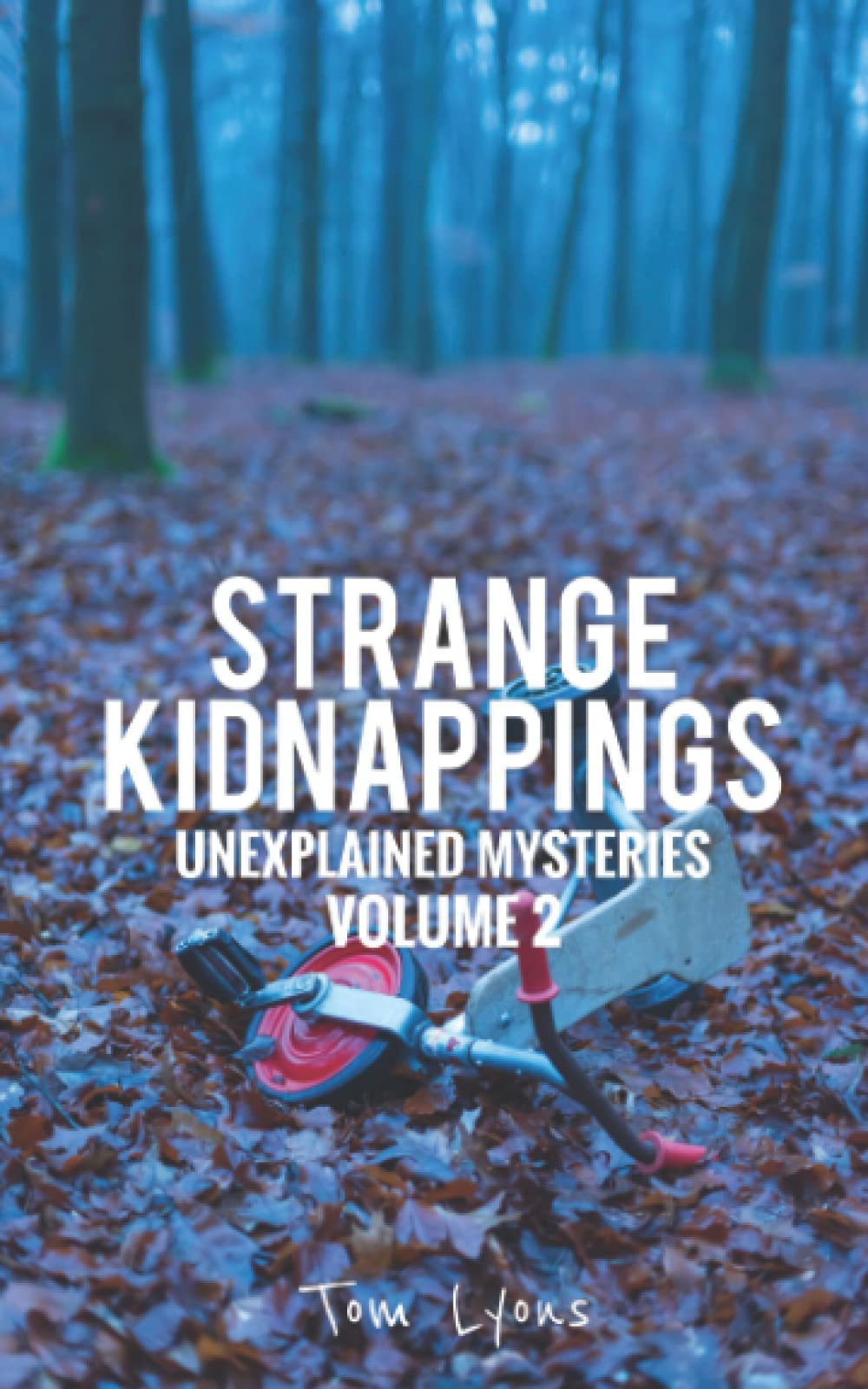 Strange Kidnappings: Unexplained Mysteries, Volume 2