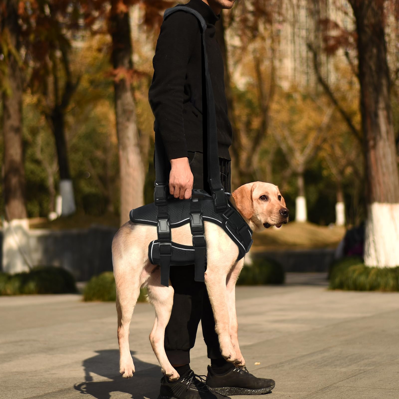 Dog Lift Harness Dog Carrier Sling Full Body Support Recovery