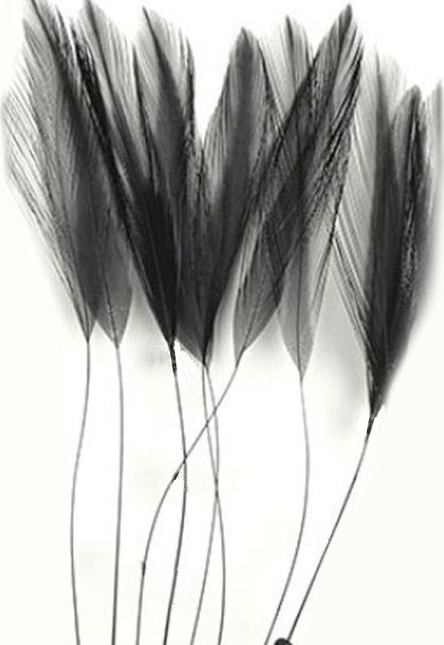 Black Stripped Hackle Feathers - Fascinators, weddings.4 inches approx x 8