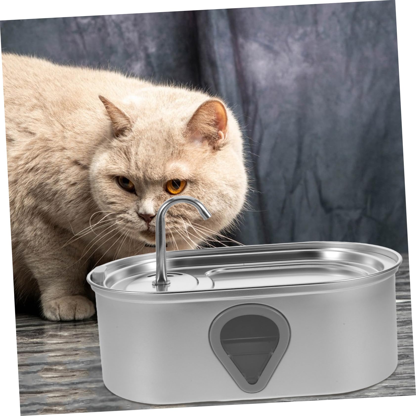 VANZACK Dispenser Acqua Automatico per Gatti Filtrazione Continua Funzionamento Silenzioso Acciaio Inox per Piccoli Animali Domestici Ricarica USB
