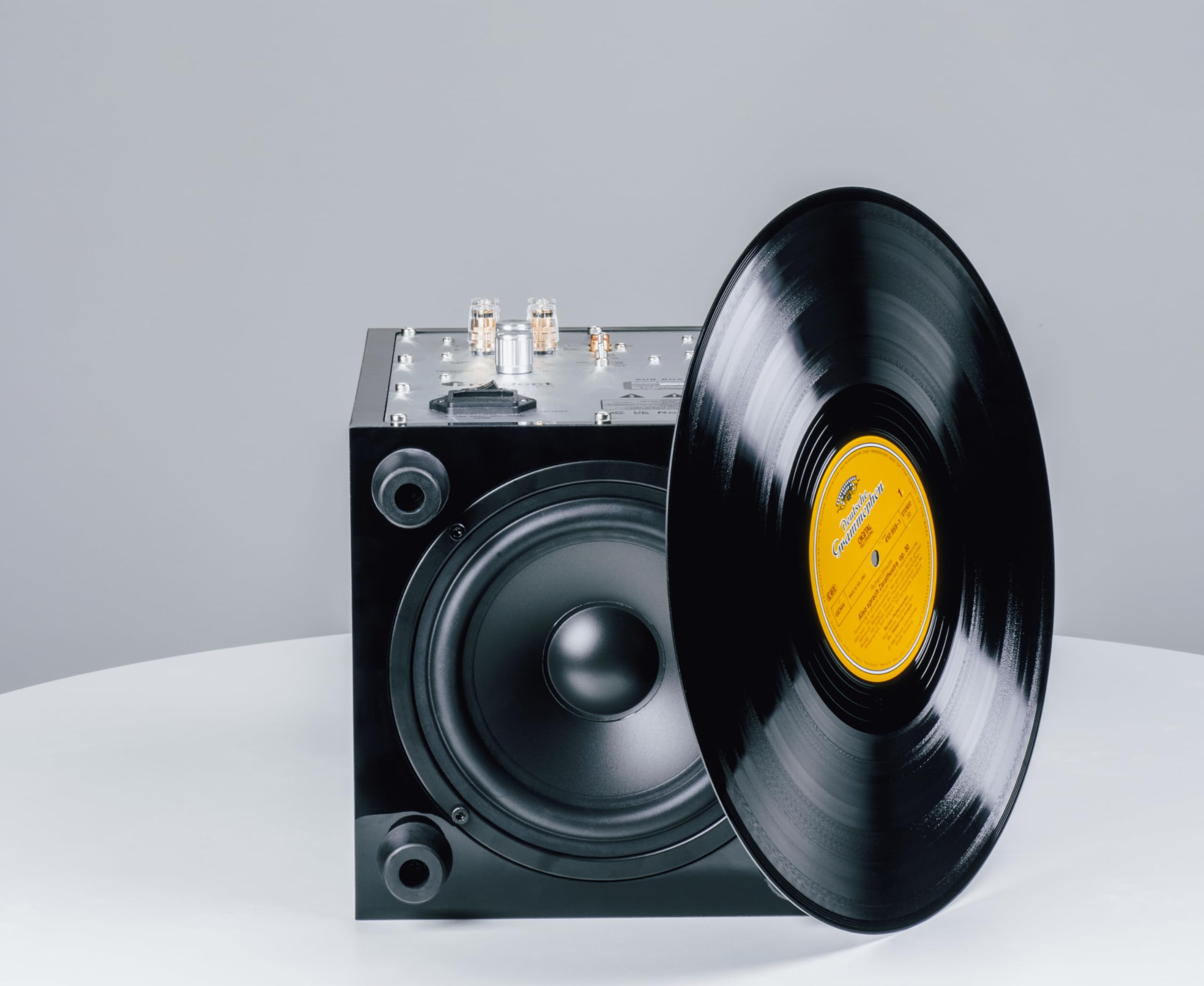 Pro-Ject Sub Box 50 E, kompakter aktiver Subwoofer mit Low und High Level Input, 100W (Schwarz)