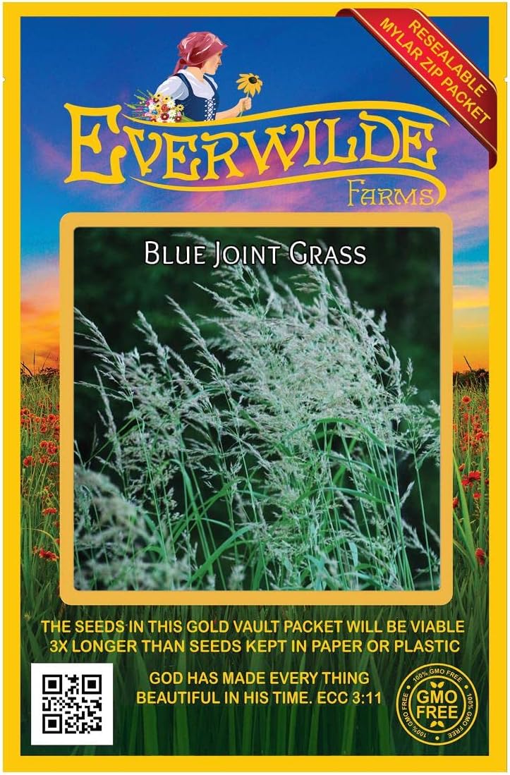Everwilde Farms - 1 Oz Blue Joint Grass Native Grass Seeds - Gold Vault
