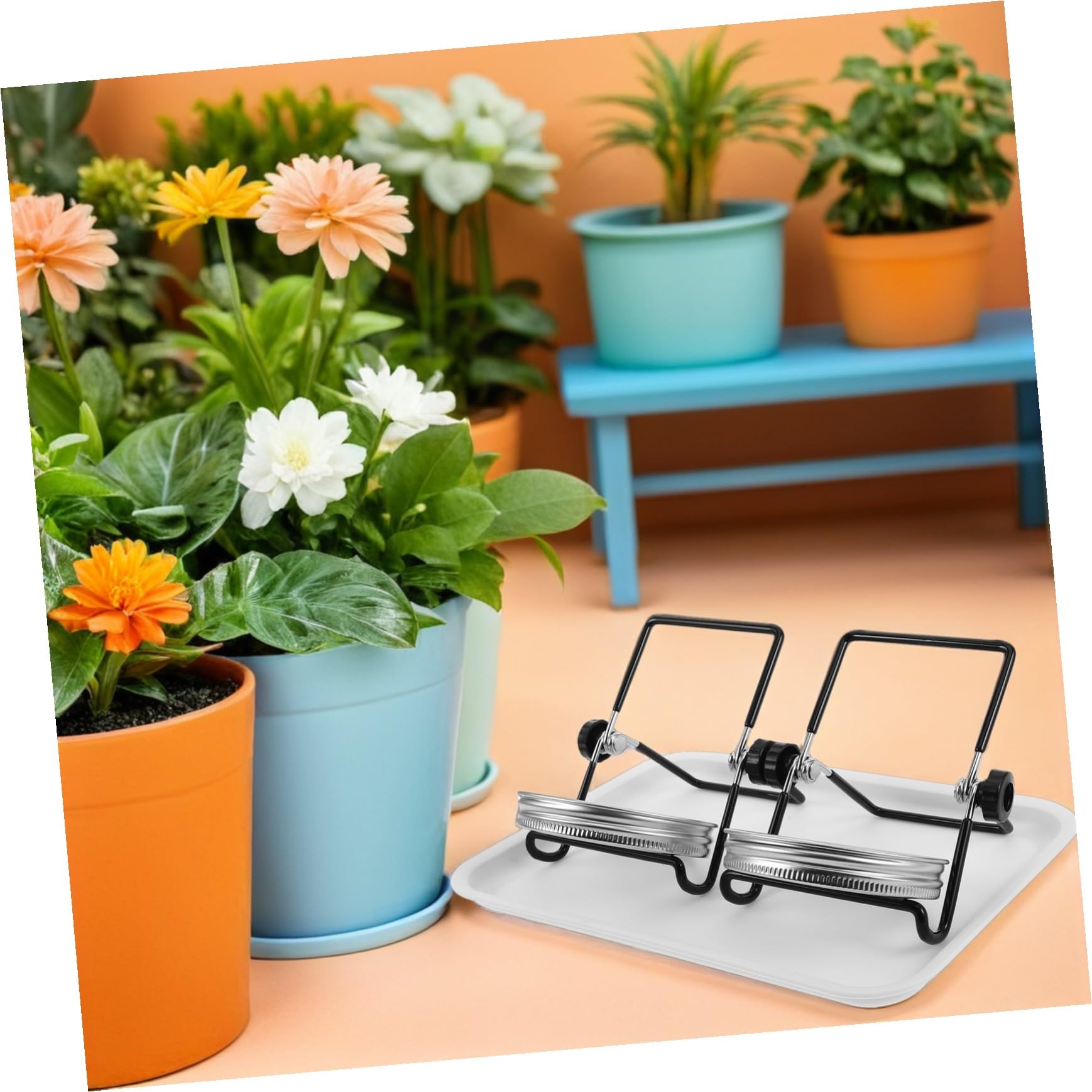 Kit de Germinación para Tarro de Boca Ancha en Acero Inoxidable, 2 Juegos | Malla de Acero Inoxidable, Bandeja y Soporte Incluidos, para Cocina y Balcón, Accesorios para Brotes de Brócoli