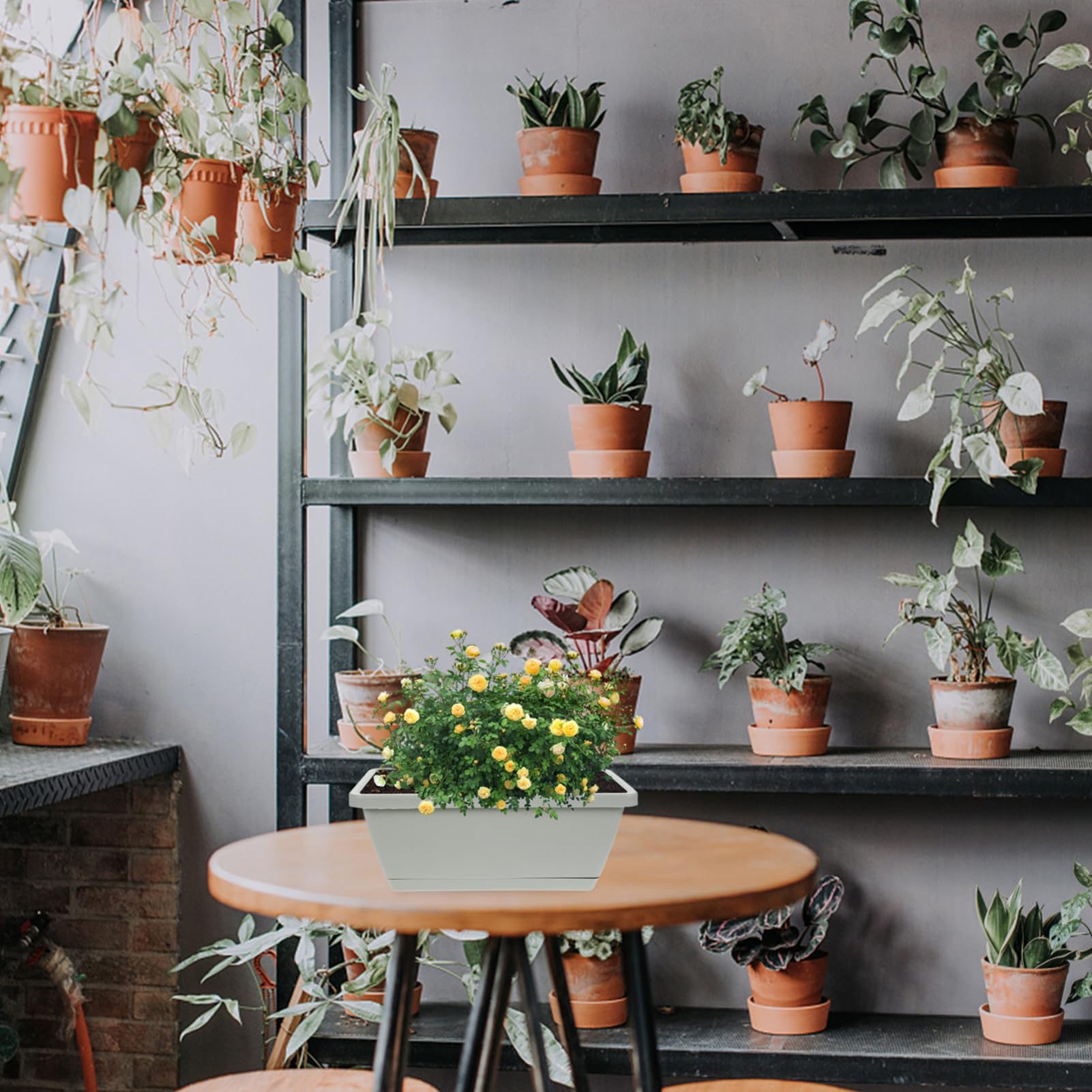 4 Stück Kunststoff Blumentopf Rechteckig Grau Kleiner Bonsai Pflanztopf Mit Abtropfschale Pflanzkübel Für Balkon Und Garten Wetterbeständig Und Langlebig
