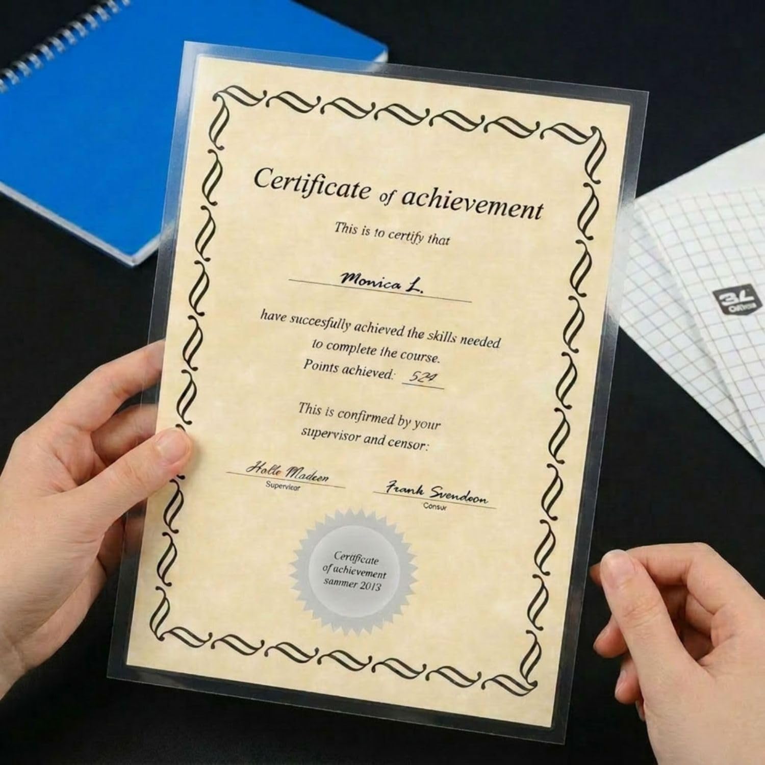 Djois Self-Adhesive Laminating Sheets for Artwork, Photos, Certificates, 9 x 12 inches, 100 Count