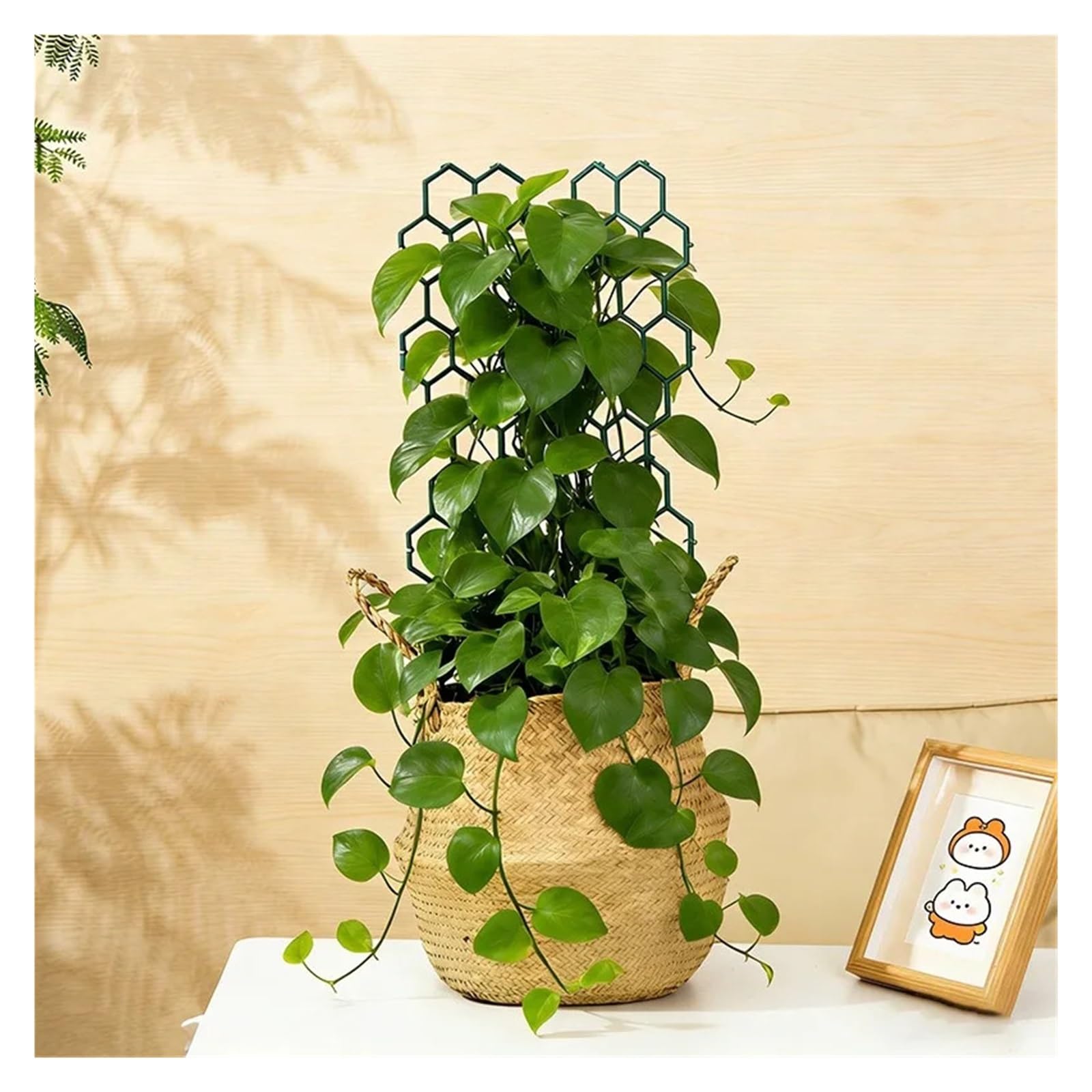 Tuteurs pour Plantes Support d'escalade en Treillis for Plantes