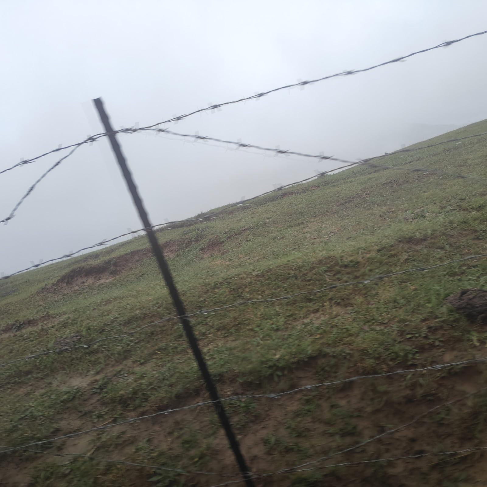 Alambre Espino Galvanizado Alambre de púas de 4 puntos, bobinas de alambre de púas antiescalada, alambre artesanal de púas fácil de doblar para cercas, artesanías de bate de béisbol residenciales