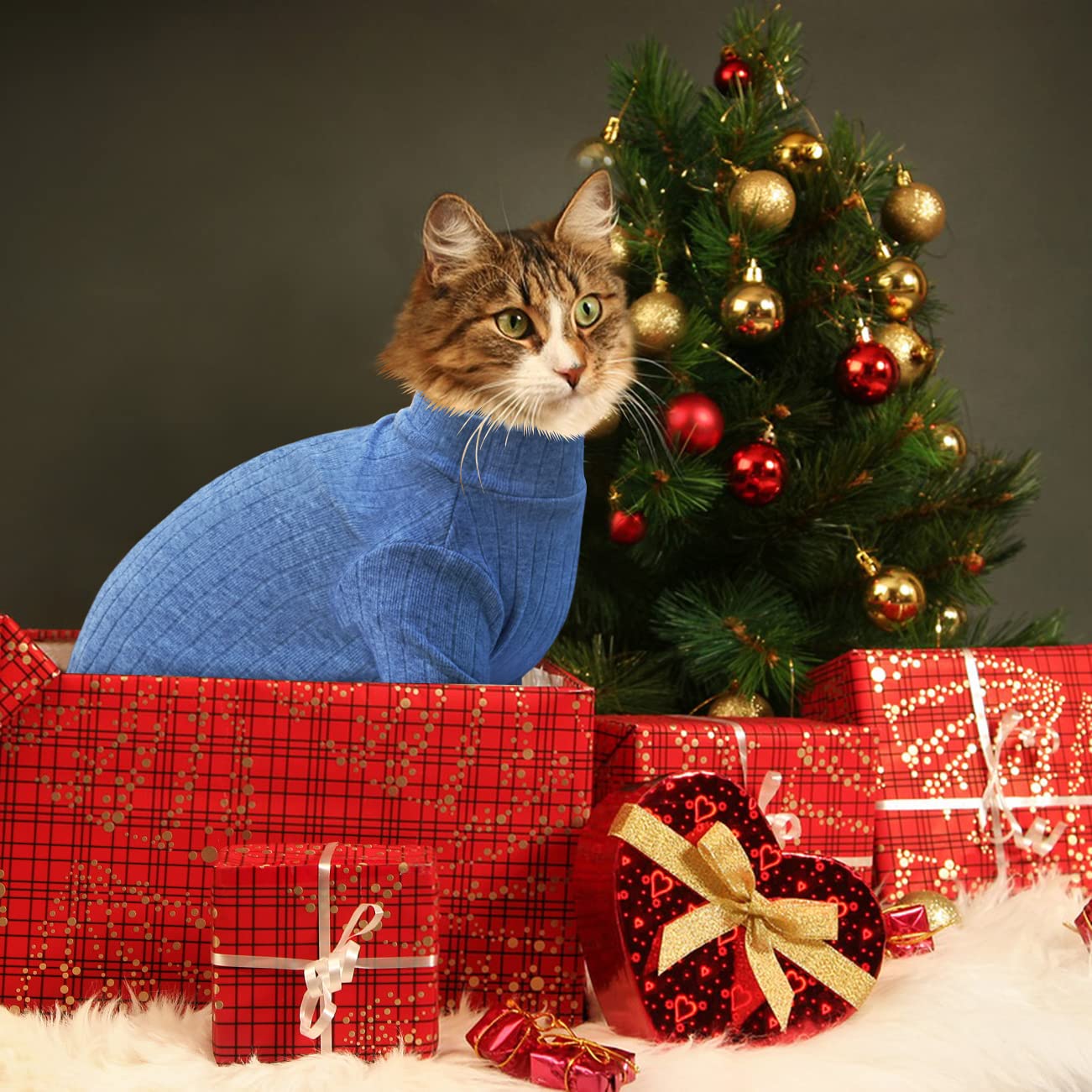 Idepet Sphynx Hairless Cat Sweater - Soft Fleece Pullover Turtleneck For Cats & Small Dogs (Blue, XL) - View #3