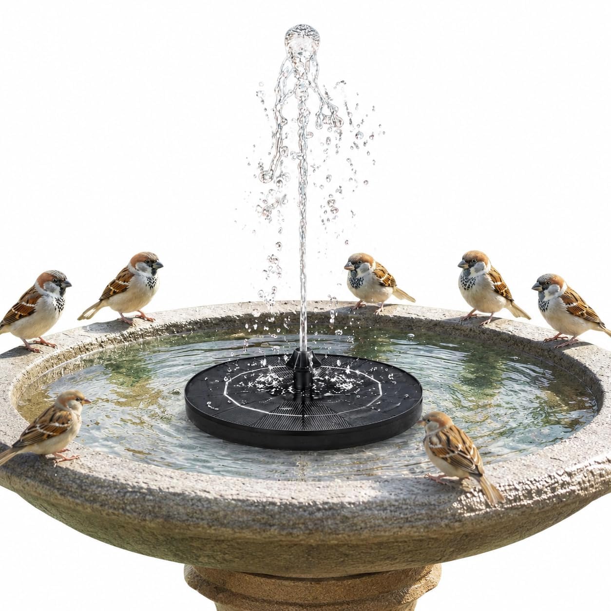 Drumstone 15 𝒀𝒓𝒔 𝑾𝒂𝒓𝒓𝒂𝒏𝒕𝒚 Solar Powered Floating Fountain Pump 6.7 Inch | Bird Bath Solar Water Fountain with 6 Interchangeable Spray Nozzles | Floating Solar Fountain for Garden, Pond,Pool-image-1