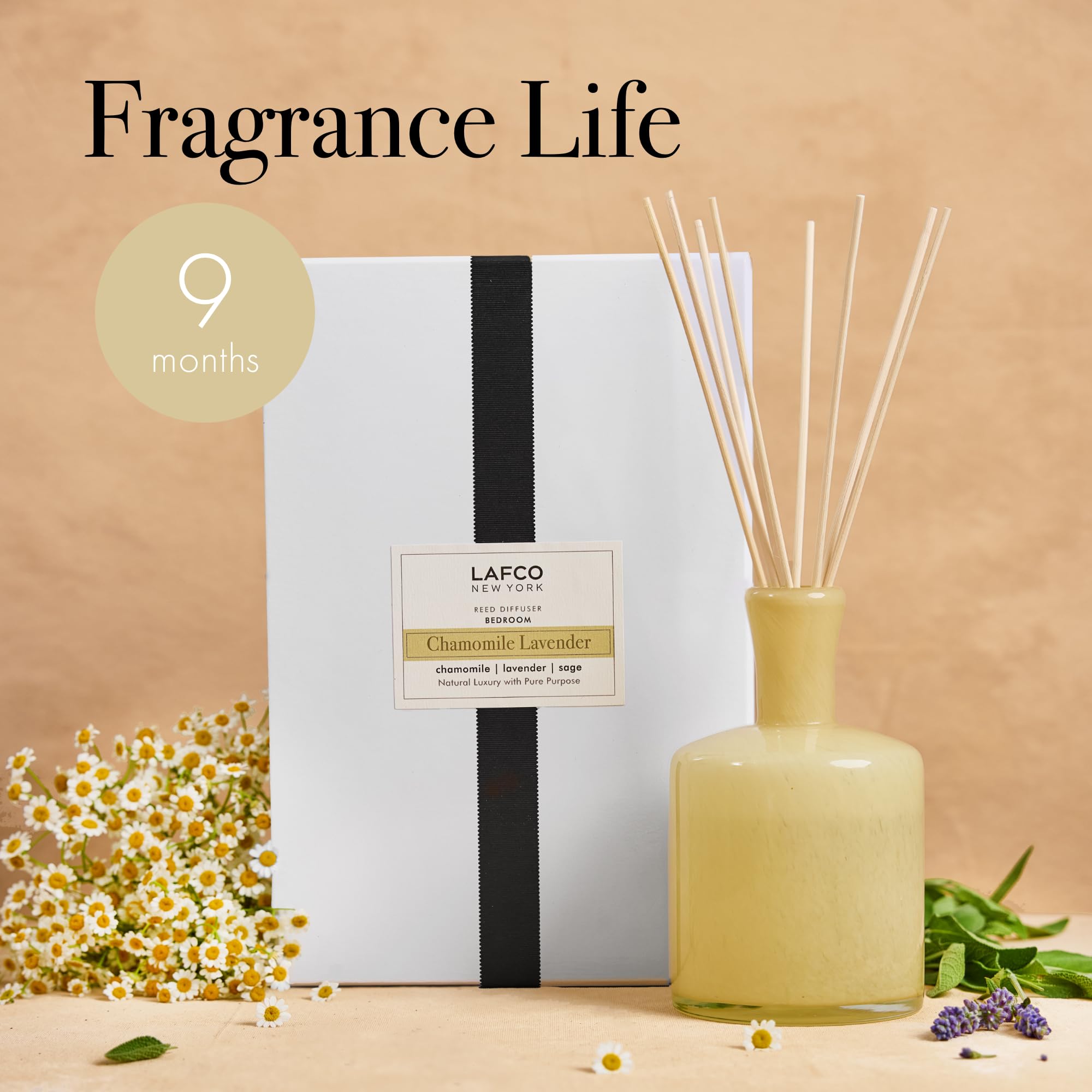 Amazon.com: LAFCO New York Signature Reed Diffuser, Chamomile