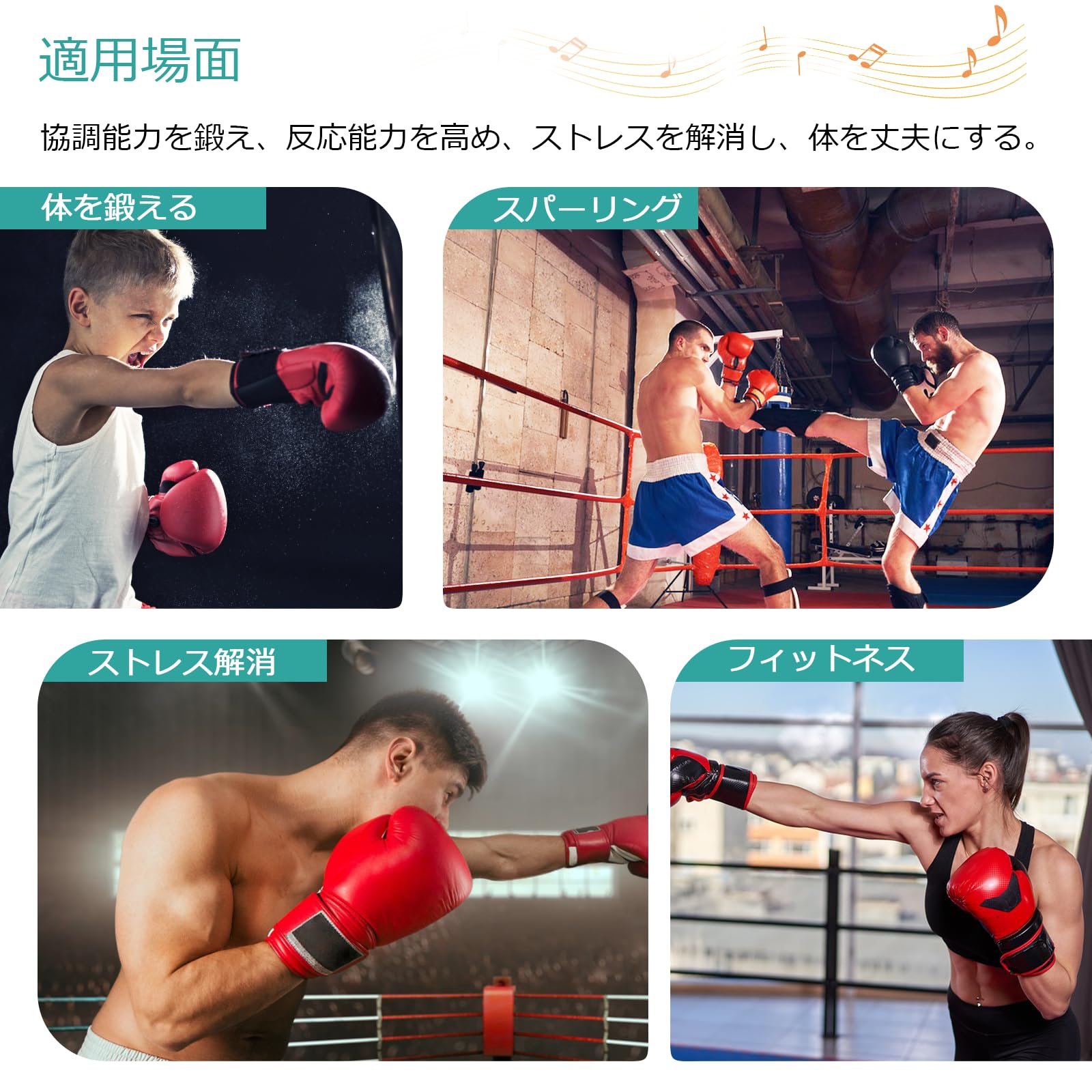 レイズドリング<送料無料>ボクシング、ジムなどに レイズドリング<送料無料>ボクシング、ジムなどに