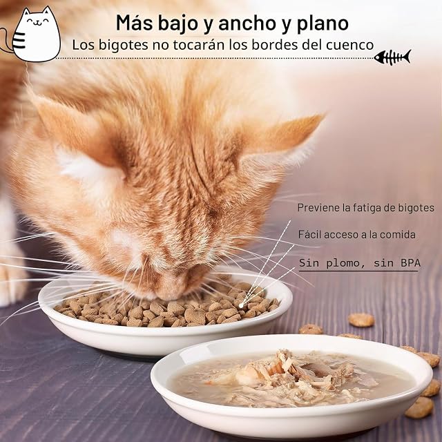 Foto 7 de 7 de Pavlleen Juego de 3 Cuencos para Gatos de cerámica