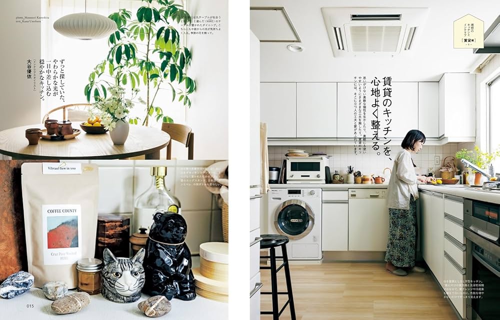 hanakoページ2点 Hanako(ハナコ) 2024年 7月号 [理想のキッチンとインテリア