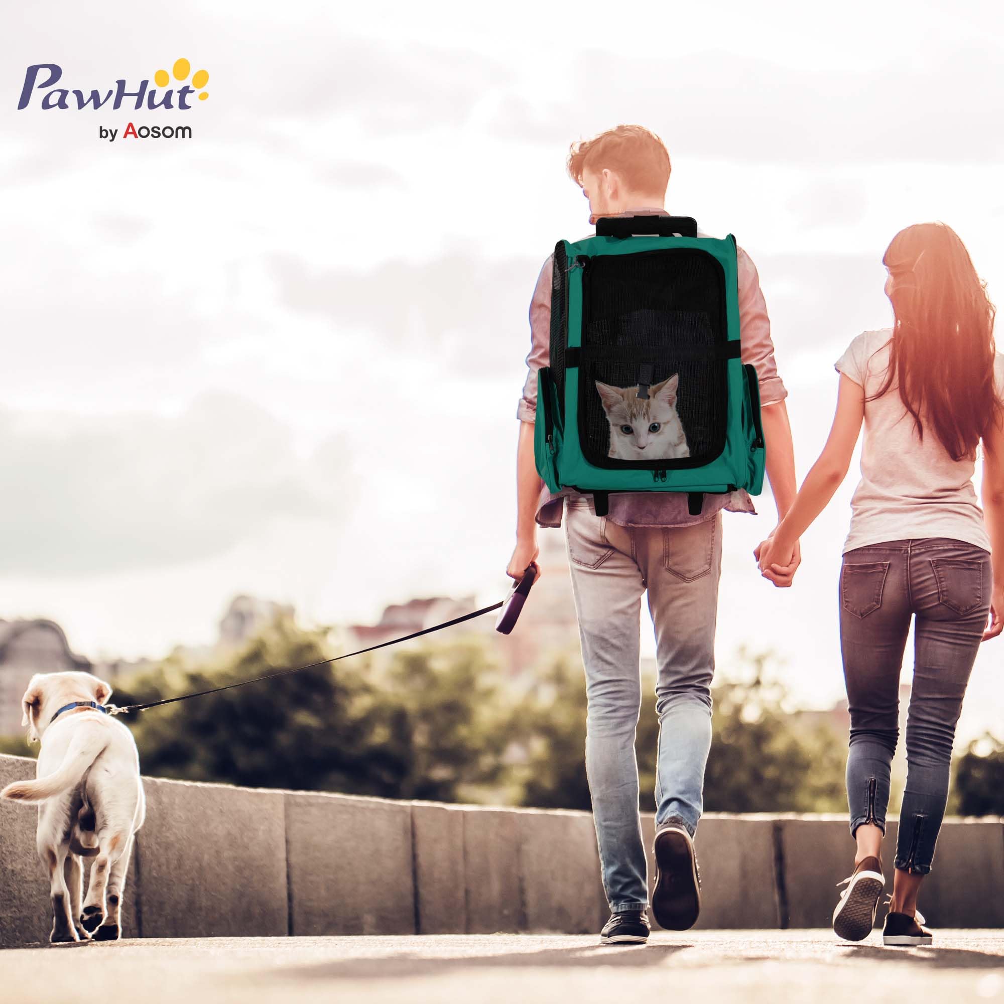 PawHut Transportín 2 en 1 para Mascotas Mochila o Carrito de Viaje para Perro y Gato con 2 Ruedas con Asa retráctil de Aluminio y Bolsillos 42x25x55 cm Verde