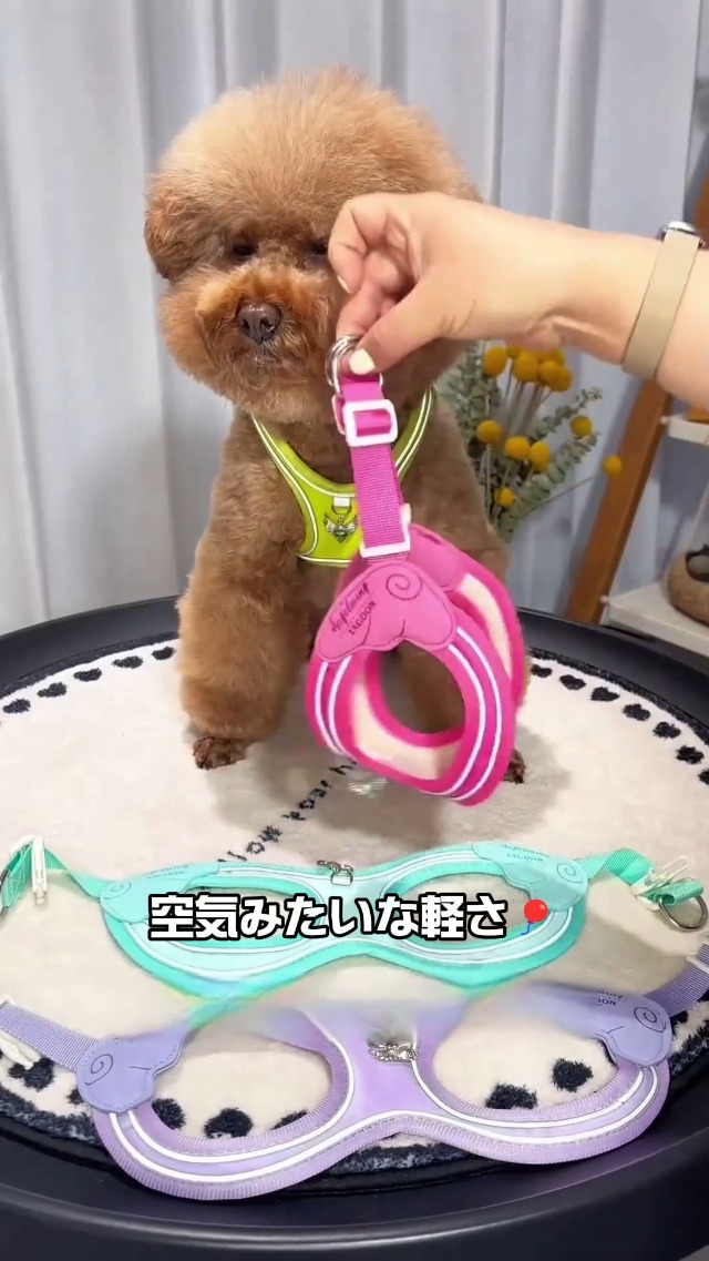 Amazon | GIIPET 犬 ハーネス リードセット 小型犬 中型犬 胴輪 抜け