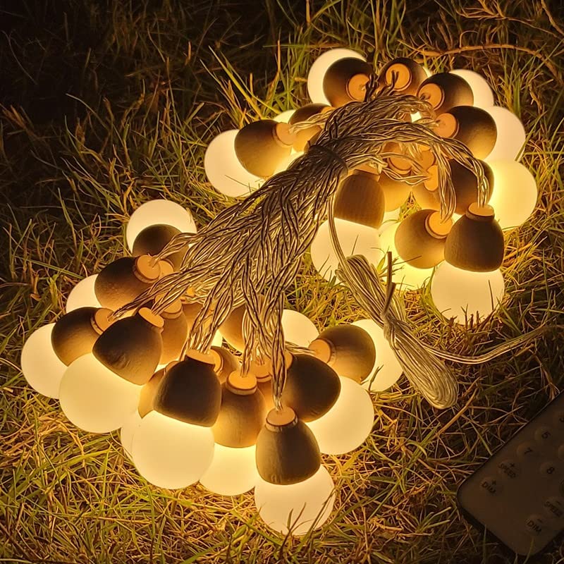 Cadena de luces para exteriores 6M 30LED, cadena de luces de ambiente de Camping alimentada por USB,cadena de luces LED para decoración de cumpleaños de tienda de campaña (Blanco cálido)