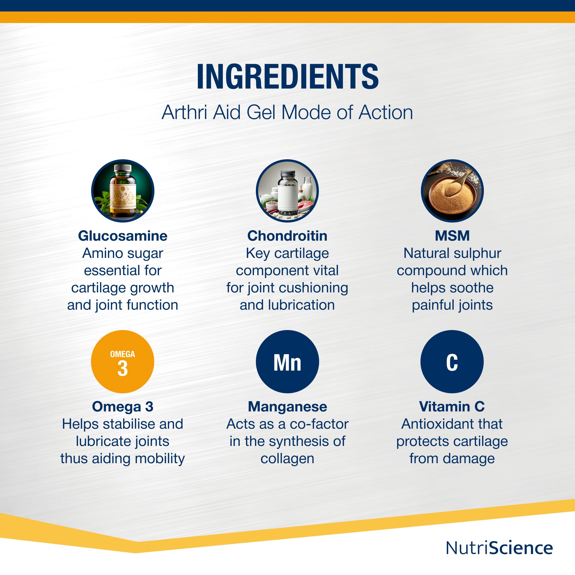 NutriScience ArthriAid Omega Cat Gel – Saveur saumon, complément pour articulations des chats (50 ml) – Avec glucosamine, chondroïtine, MSM et oméga 3 – Soutient la santé et la mobilité articulaires