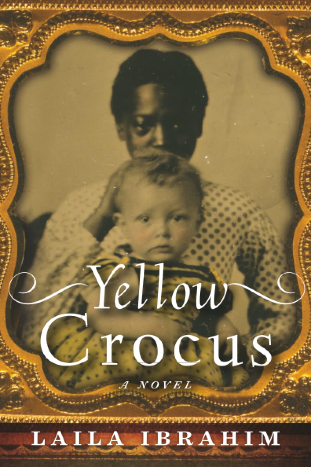 Yellow Crocus