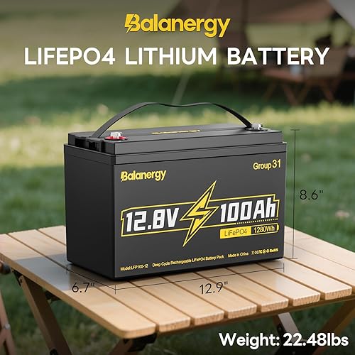 Miniatura 2 de Batería de litio LiFePO4 de 12 V 100 Ah, baterías de litio de 12 voltios grupo 31 protección a baja temperatura BMS de 100 A integrada, hasta 15000