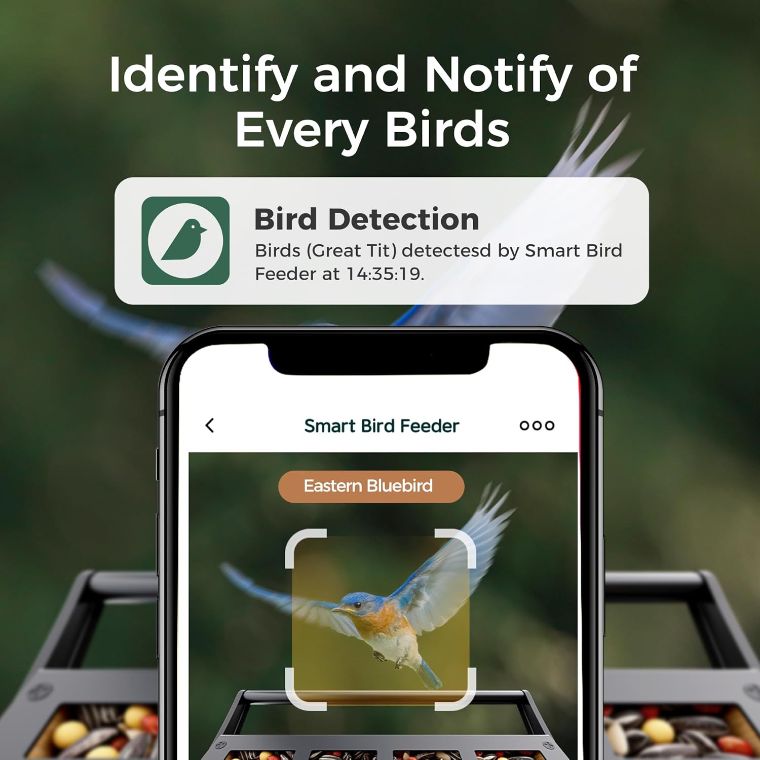 Smartphone screen showing bird detection notification and AI identification of an Eastern Bluebird