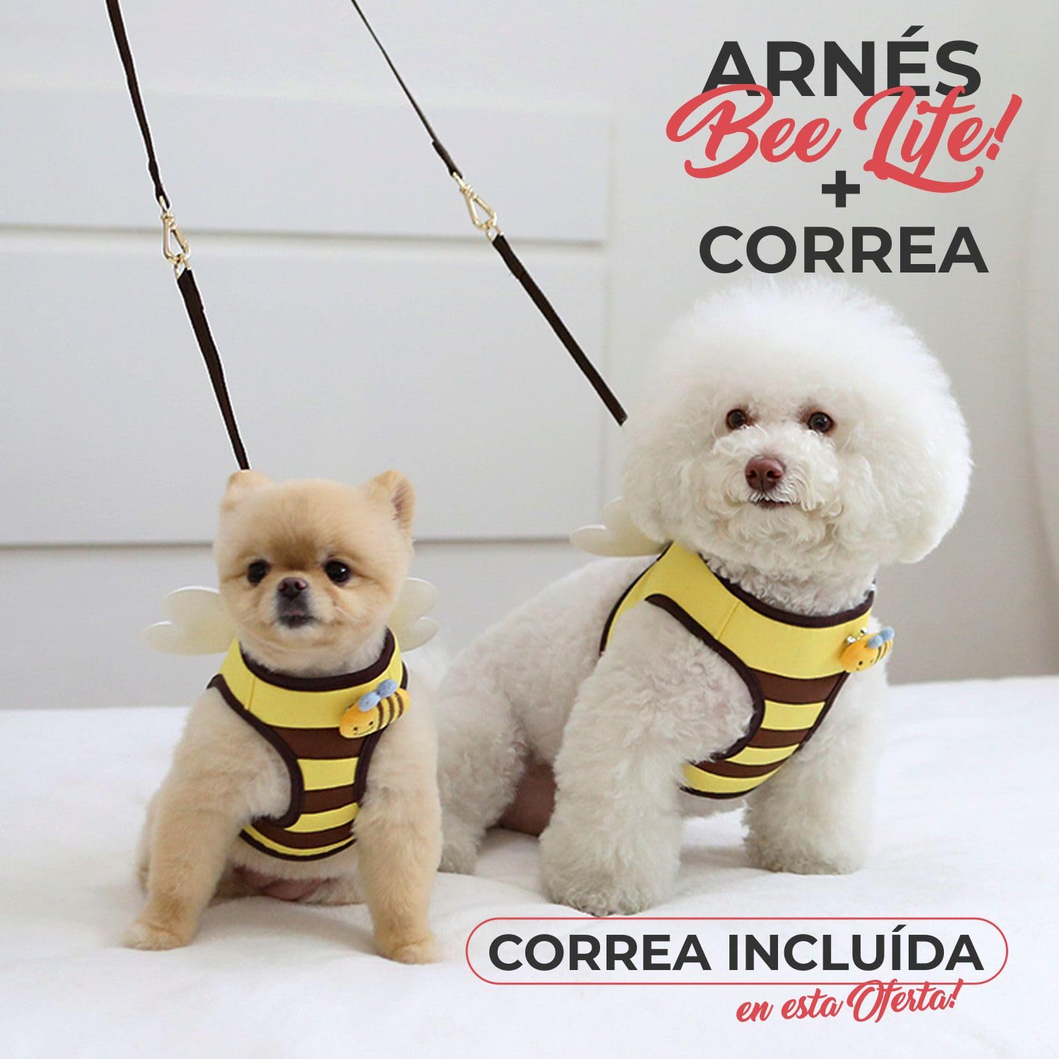Its Dog & Kangachi - Arnés de Abeja con Correa, Arnés Honeybee, Arnes para Perros, Arnes para Vestir Moderno y Elegante, Ajuste Ergonómico, Perros Pequeños y Medianos, Made in Korea, Talla S